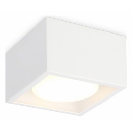 Накладной светильник Ambrella TN TN70825