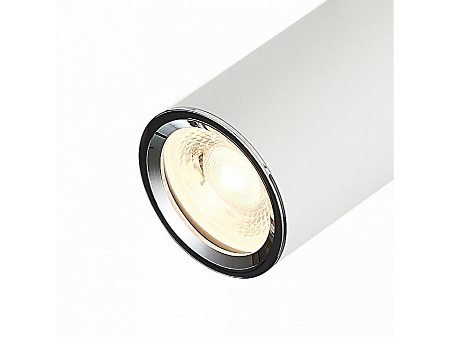 Светильник на штанге ST-Luce SKYLINE 220 ST504.506.01
