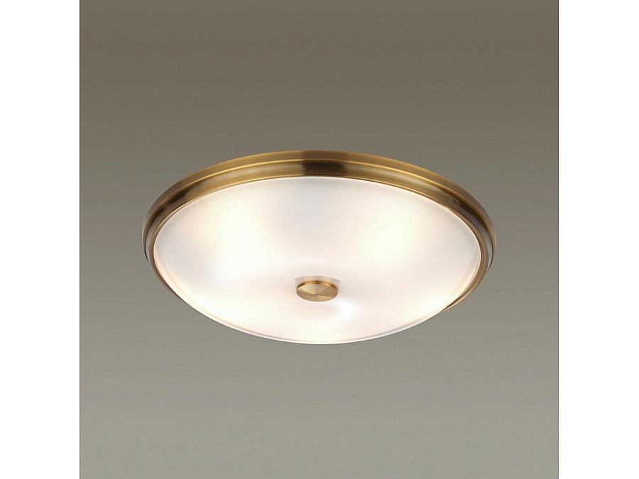 Накладной светильник Odeon Light Pelow 4956/5