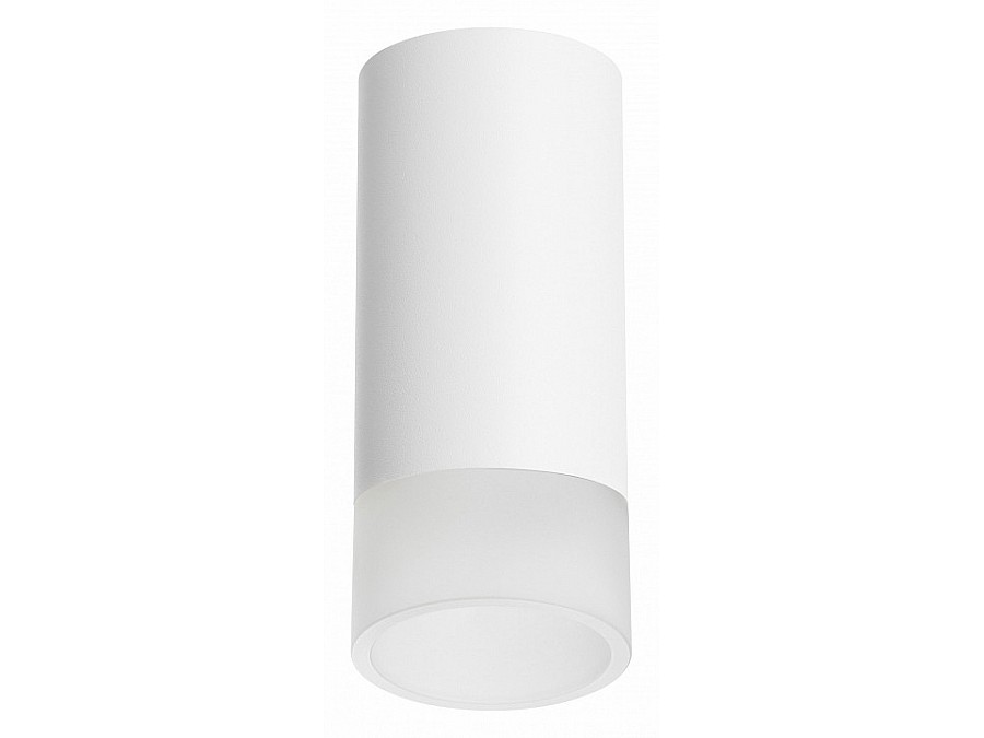 Накладной светильник Lightstar Rullo R43631