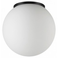 Накладной светильник Odeon Light NATURE 7124/1C