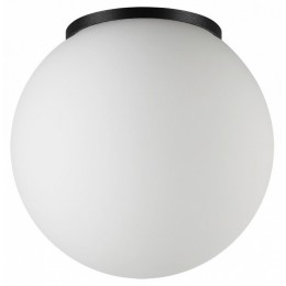 Накладной светильник Odeon Light NATURE 7124/1C
