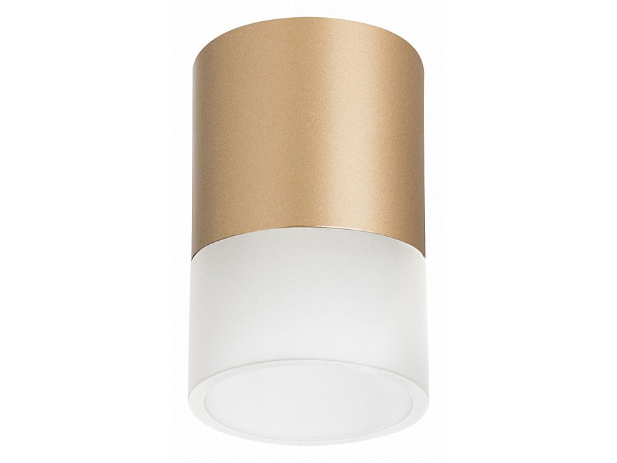 Накладной светильник Lightstar Rullo R349081