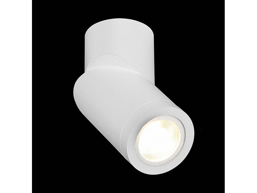 Светильник на штанге ST-Luce ST650 ST650.502.01
