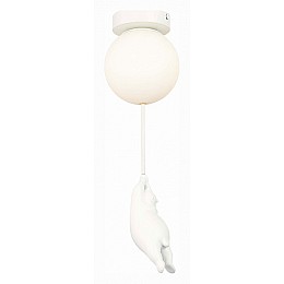 Накладной светильник EVOLUCE Modena SLE115402-01