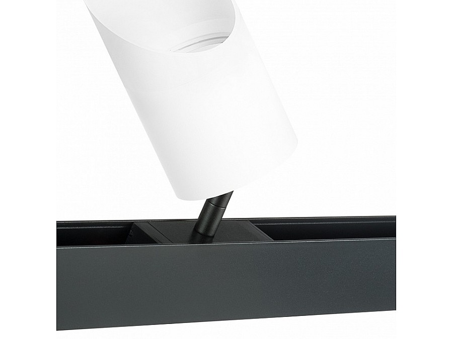 Светильник на штанге Lightstar Rullo PRO348686