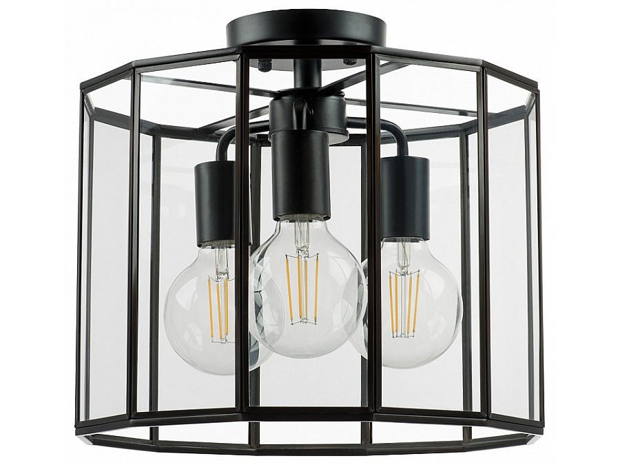 Светильник на штанге Lightstar Genni 798237