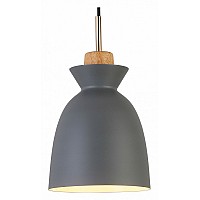 Подвесной светильник Escada Crater 1107/1S