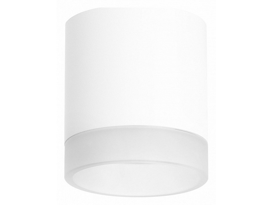 Накладной светильник Lightstar Rullo R348680