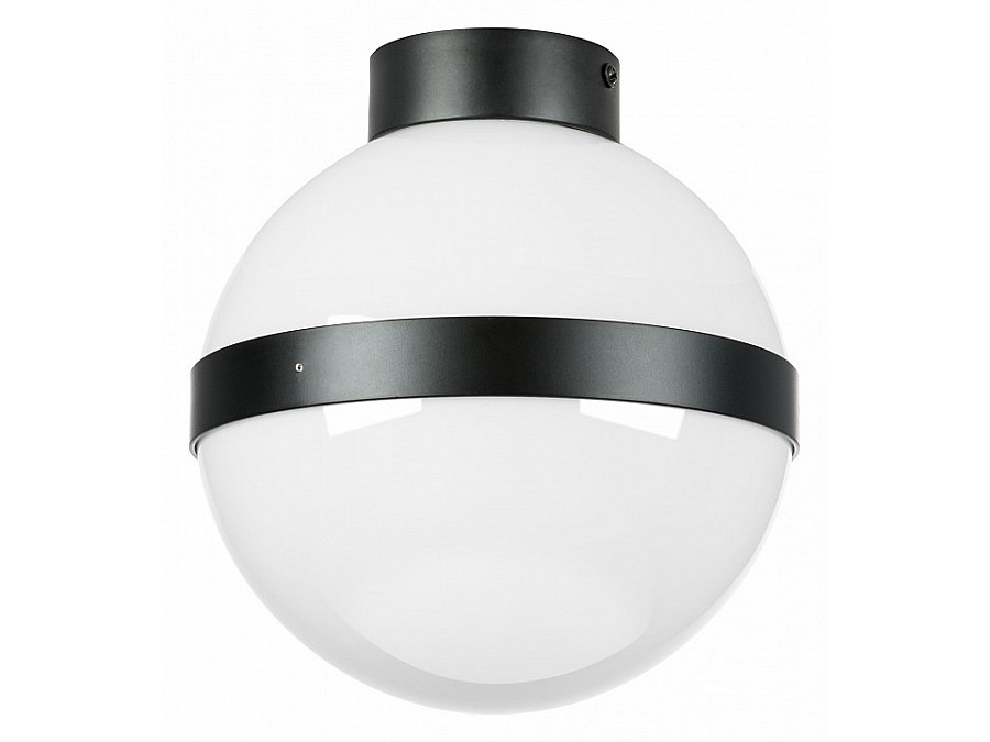 Накладной светильник Lightstar Globo 812117