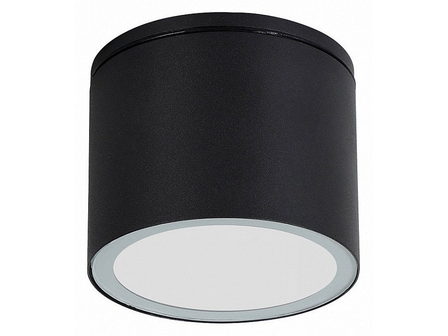 Накладной светильник Arte Lamp Piautos A1913PF-1BK