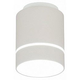 Накладной светильник Citilux Борн CL745010N