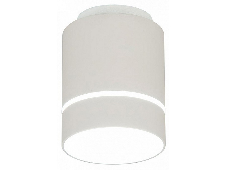 Накладной светильник Citilux Борн CL745010N