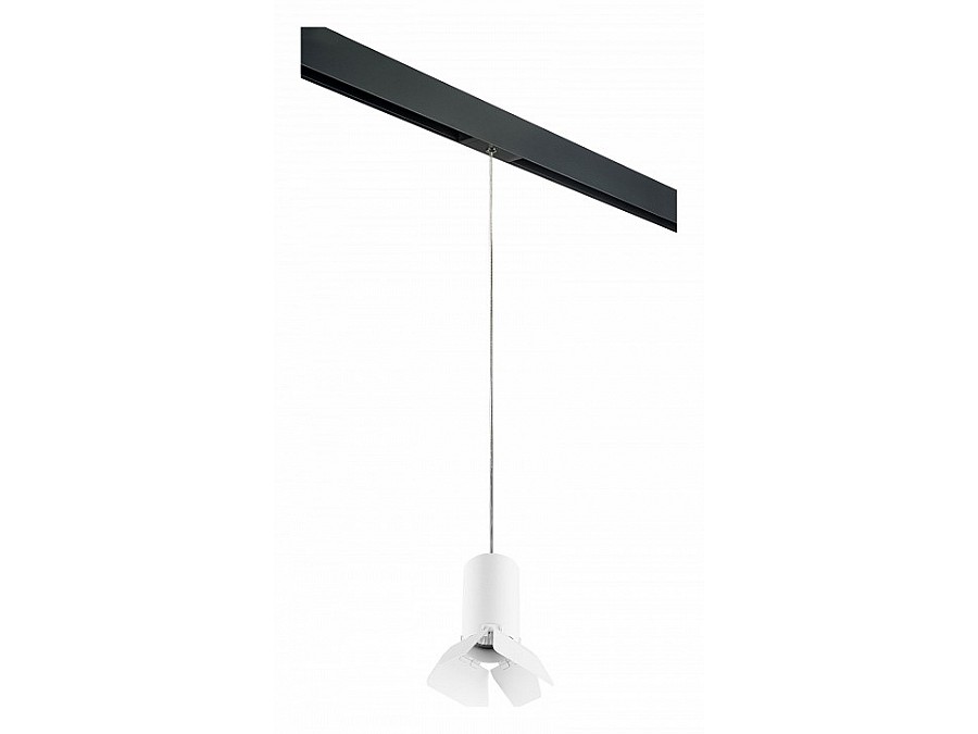 Подвесной светильник Lightstar Rullo PRORP436436