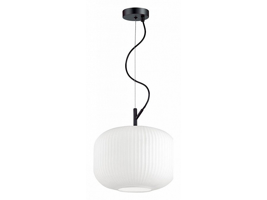 Подвесной светильник Odeon Light Roofi 4754/1