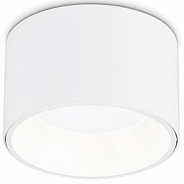 Накладной светильник Ambrella Light TN TN52892