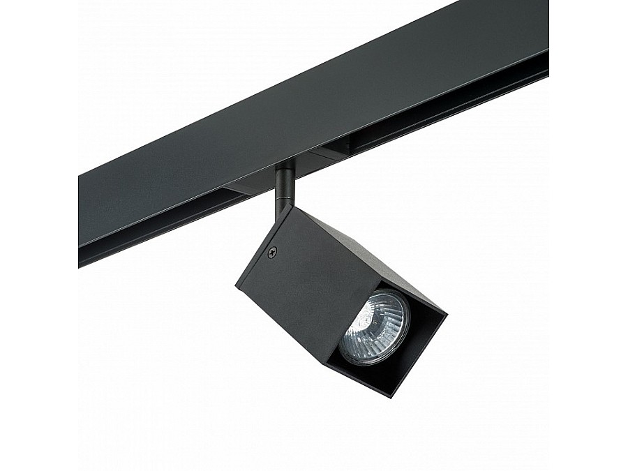 Светильник на штанге Lightstar Rullo PRO216337