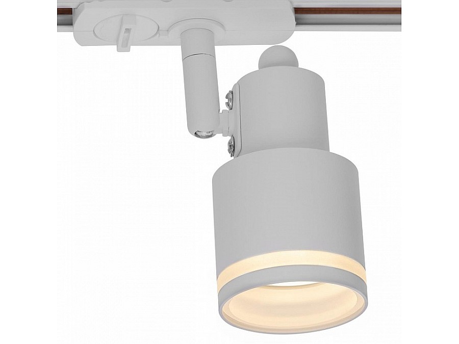 Светильник на штанге Citilux Bruno CL565T10