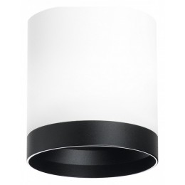 Накладной светильник Lightstar Rullo R34863487