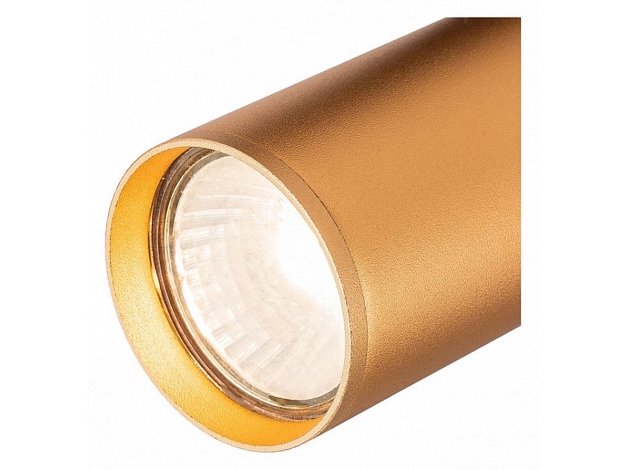 Светильник на штанге Escada 20001 20001TRA/01 BR