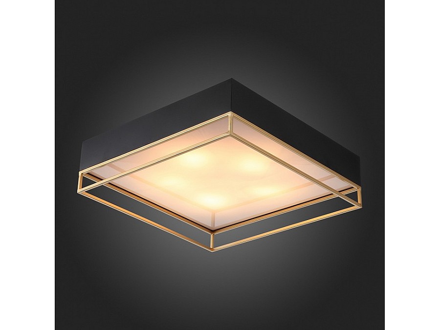 Накладной светильник ST-Luce Chodo SL1127.422.05