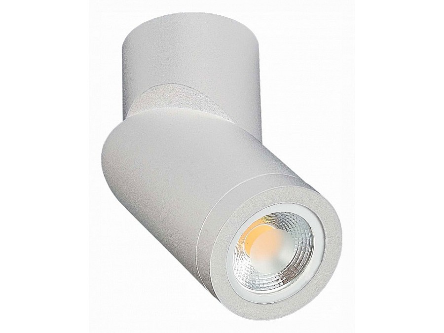 Светильник на штанге ST-Luce ST650 ST650.502.01