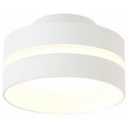 Накладной светильник Ambrella TN TN5419