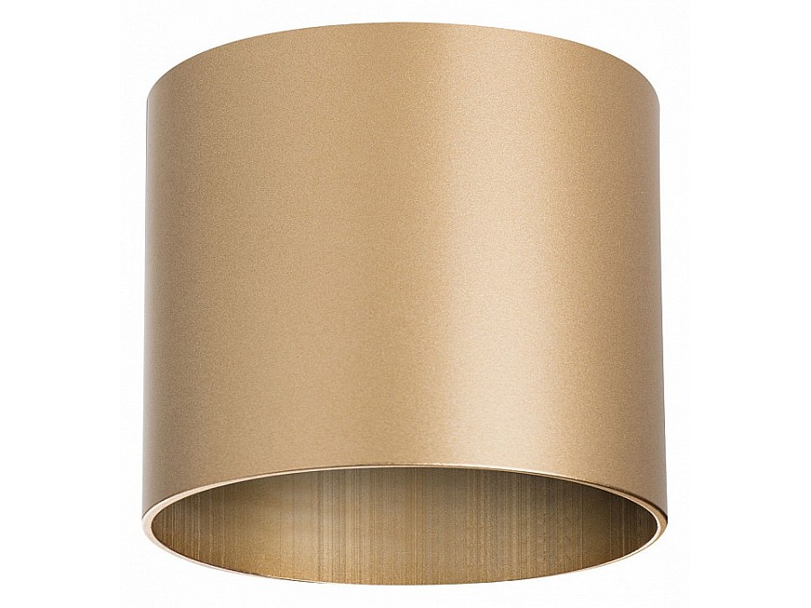 Накладной светильник Lightstar Rullo 213490