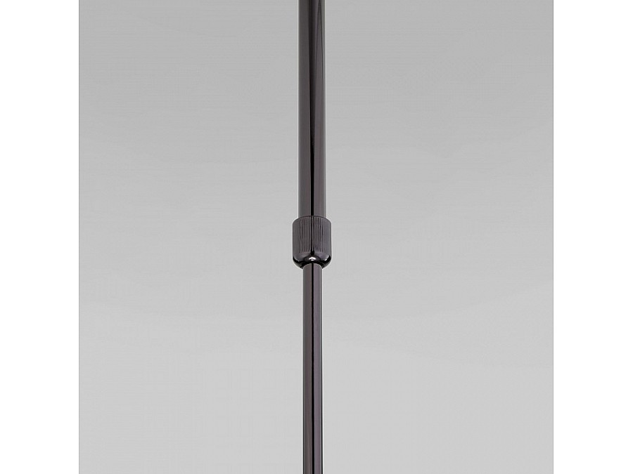 Светильник на штанге Eurosvet Pacific 50255/1 жемчуг черный