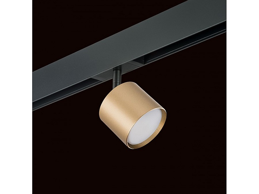 Светильник на штанге Lightstar Rullo PRO3490