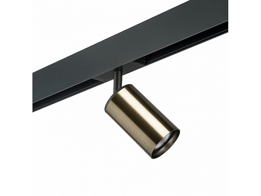 Светильник на штанге Lightstar Rullo PRO431