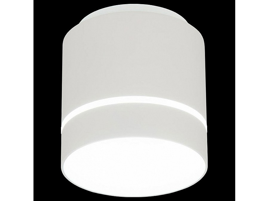 Накладной светильник Citilux Борн CL745020N