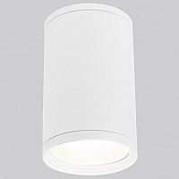 Накладной светильник Elektrostandard Light 35128/H