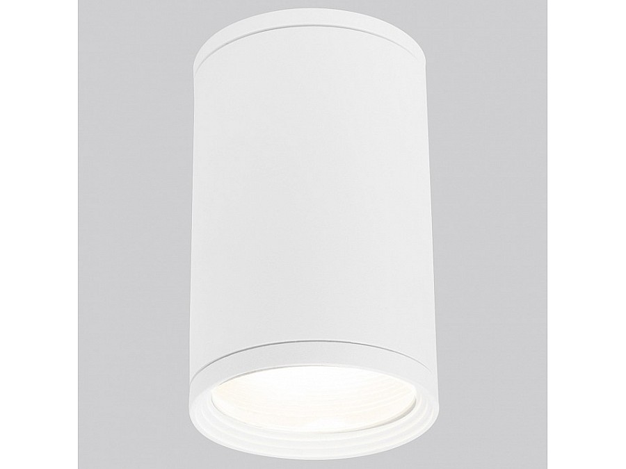 Накладной светильник Elektrostandard Light 35128/H