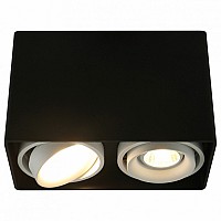 Накладной светильник Arte Lamp 5655 A5655PL-2BK