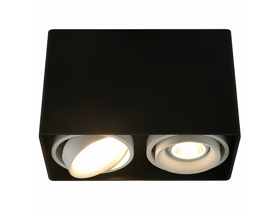 Накладной светильник Arte Lamp 5655 A5655PL-2BK