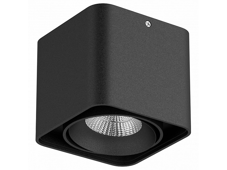 Накладной светильник Lightstar Monocco 212517