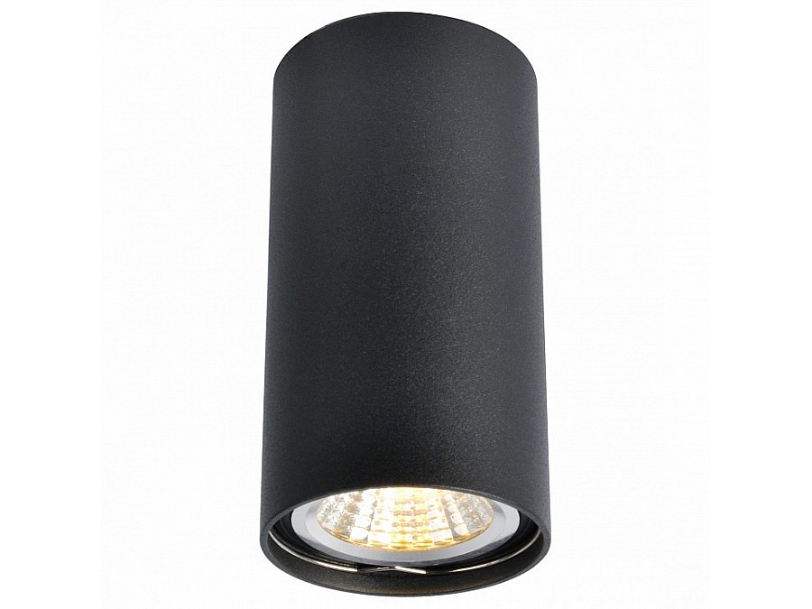 Накладной светильник Arte Lamp 1516 A1516PL-1BK