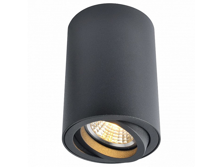 Накладной светильник Arte Lamp 1560 A1560PL-1BK