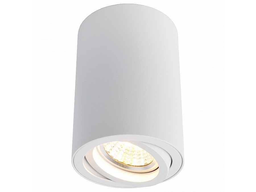 Накладной светильник Arte Lamp 1560 A1560PL-1WH