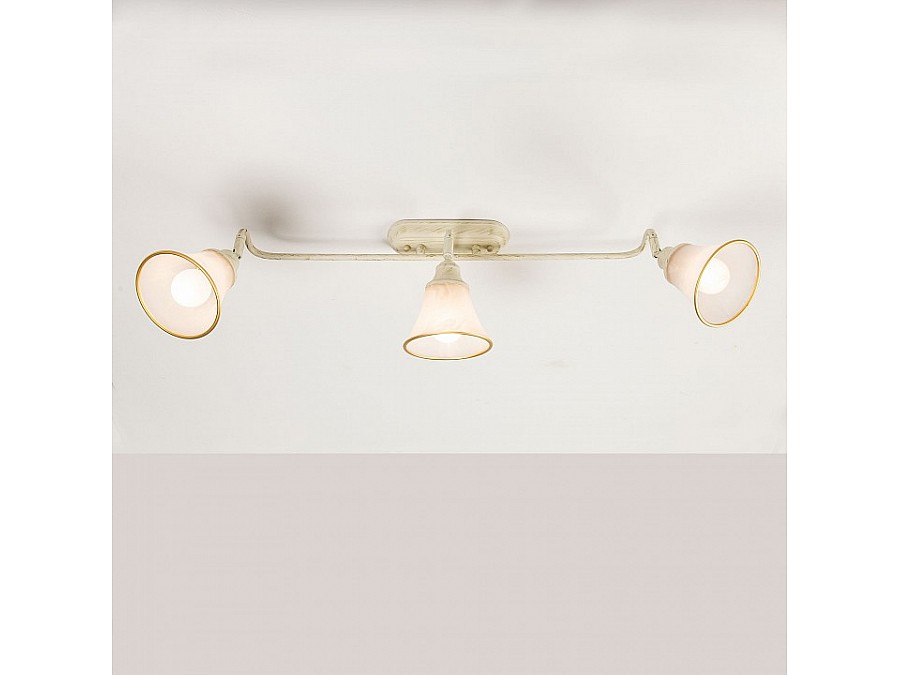 Спот Citilux Прованс CL511534