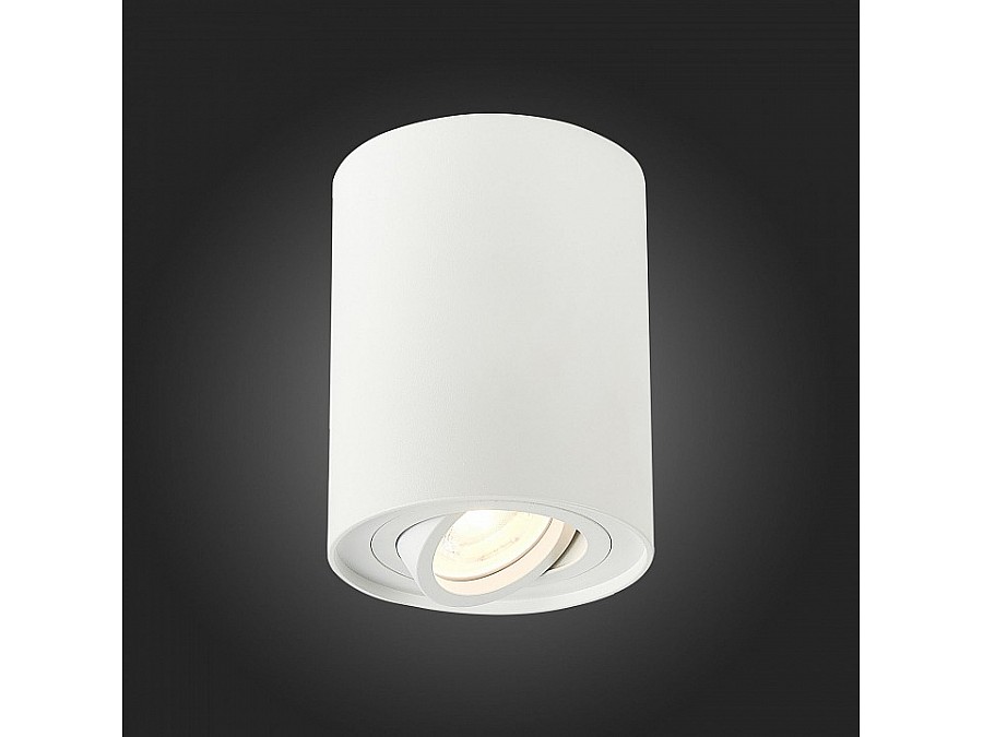 Спот ST-Luce Torus ST108.517.01