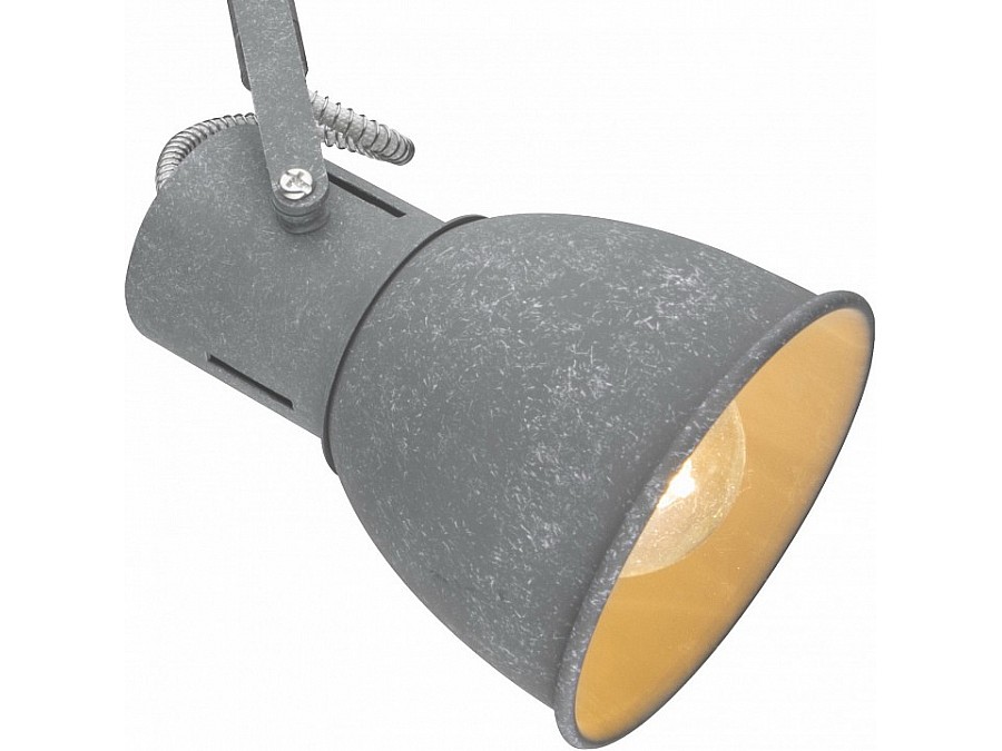 Спот Arte Lamp 1677 A1677PL-2GY