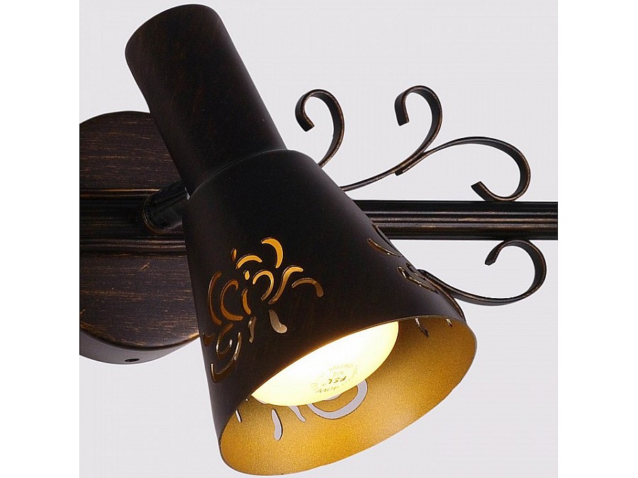 Спот Citilux Дункан CL529531