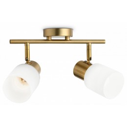 Спот Ambrella TR TR3969