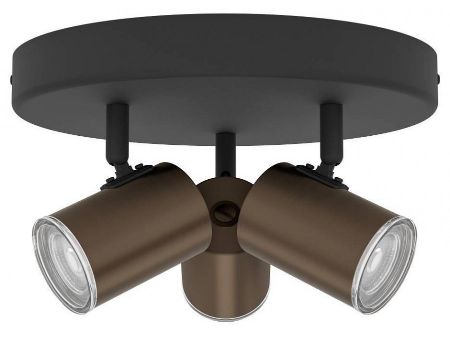 Спот Eglo CONSUMA 1 300591