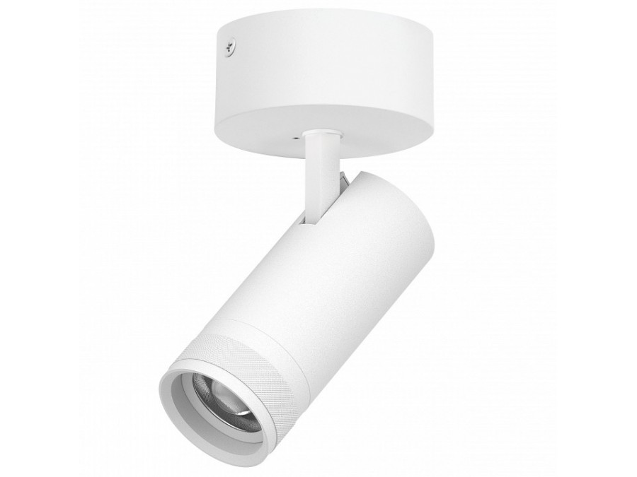 Спот Lightstar Canno Pro C4206SO