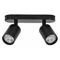 Спот Arte Lamp Aquarius A3226PL-2BK