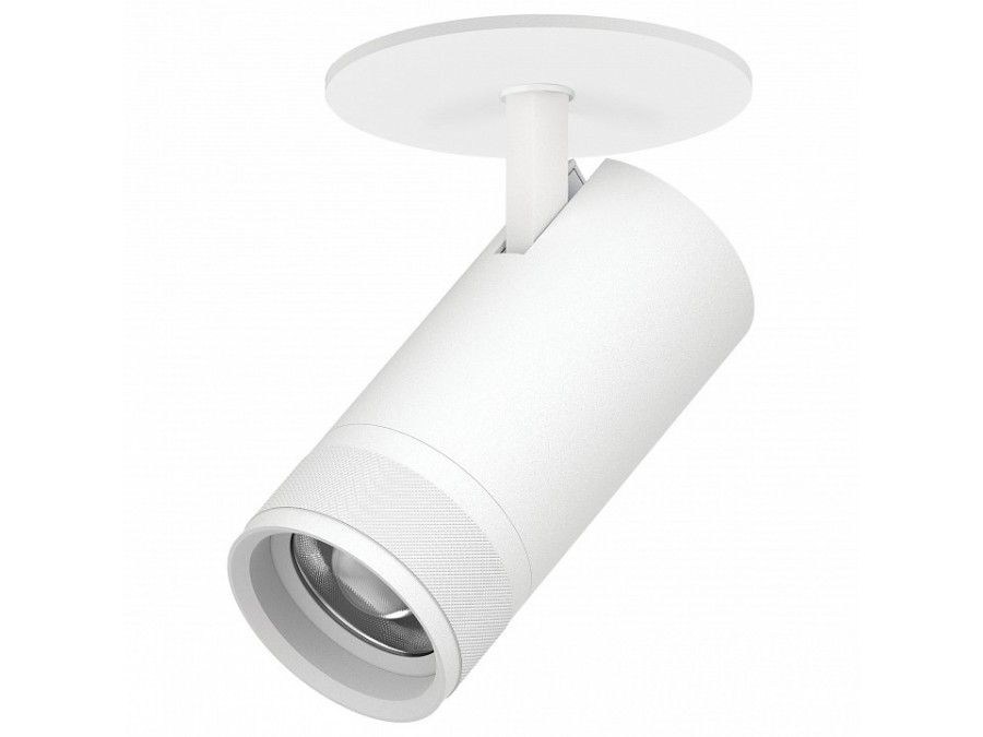 Спот Lightstar Canno Pro C4306RS