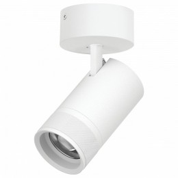 Спот Lightstar Canno Pro C4406SO